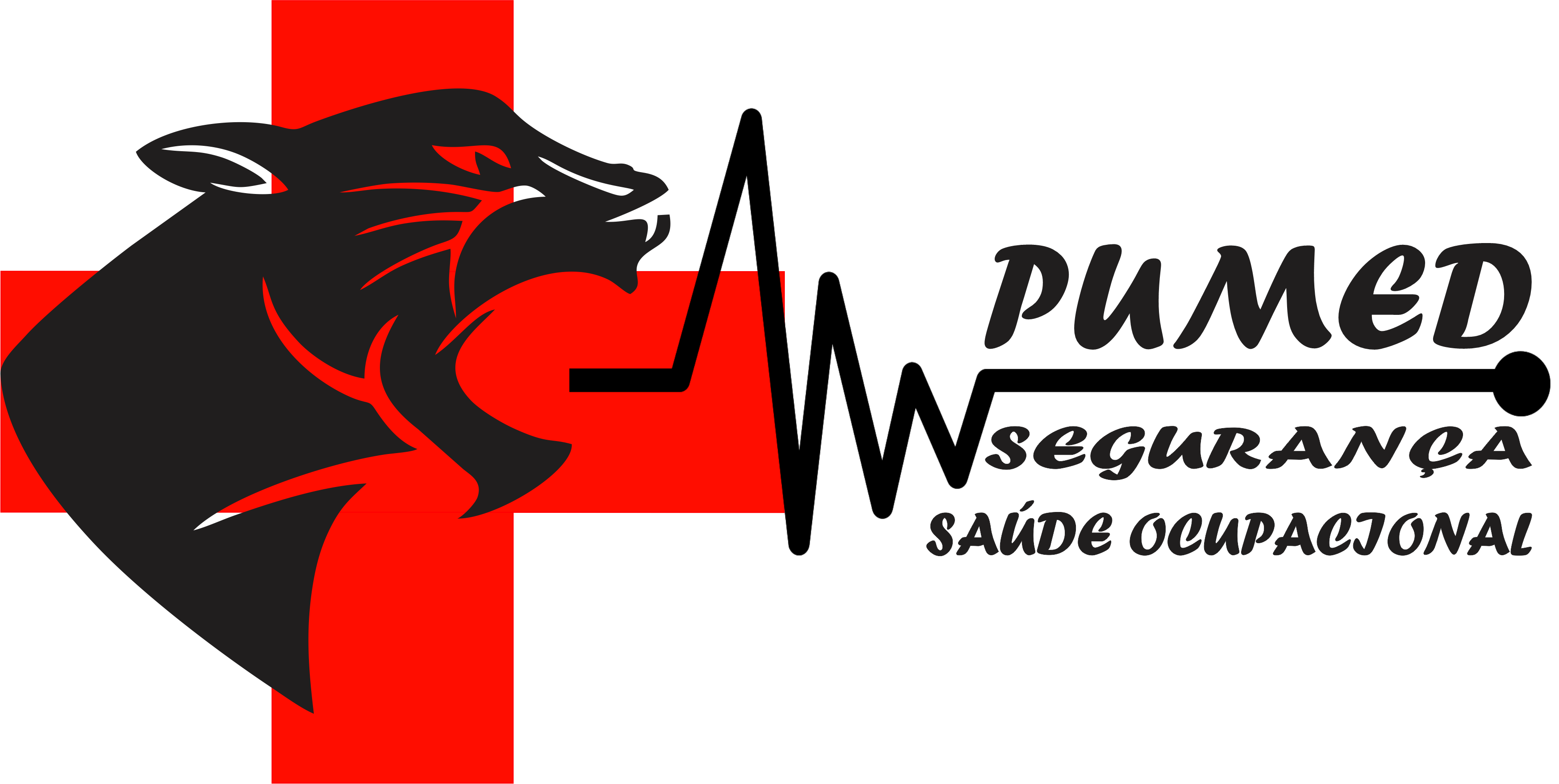 PUMED Alpinismo